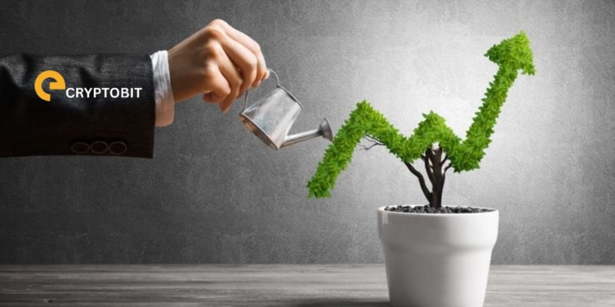 ecryptobit.com invest